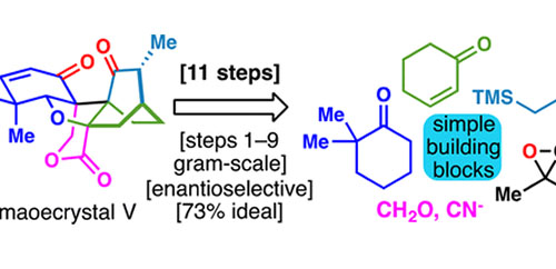 11-Step Total Synthesis of (−)-Maoecrystal V